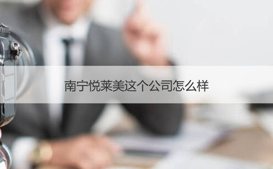 南宁悦莱美医疗器械公司 代理与销售业务概述及薪资分析